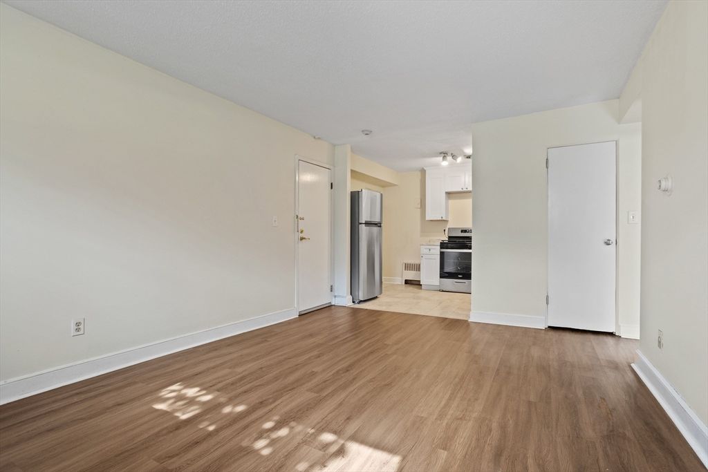 Empty room, Interior, Kitchen, Stainless Steel Appliances, Wood Texture Flooring