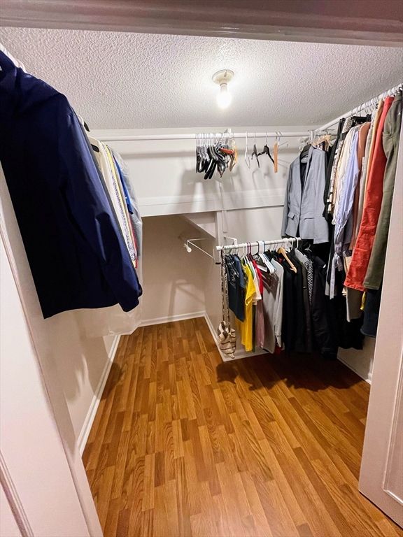 Interior, Walk-in Closets, Wood Texture Flooring