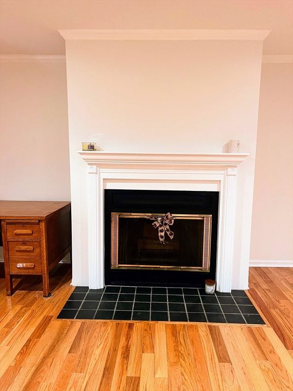 Fireplace, Interior, Wood Texture Flooring