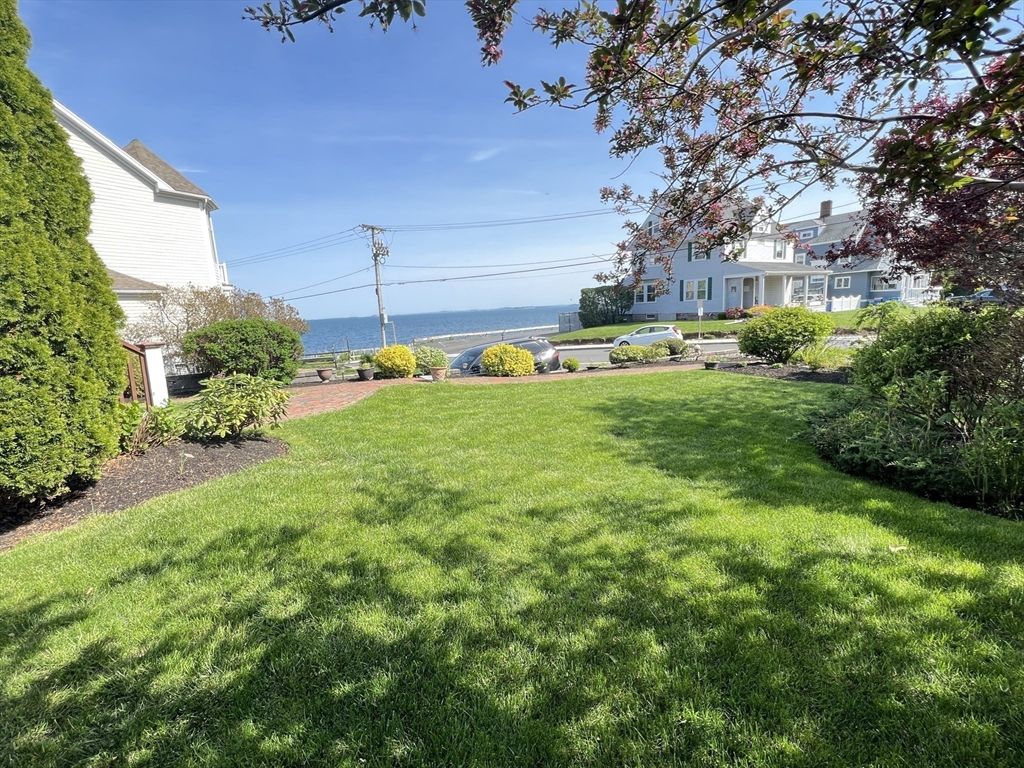 Backyard, Exterior, Water