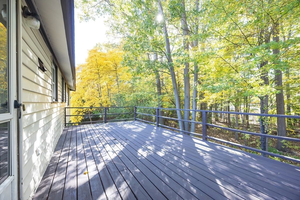 Exterior, Wood Texture Flooring