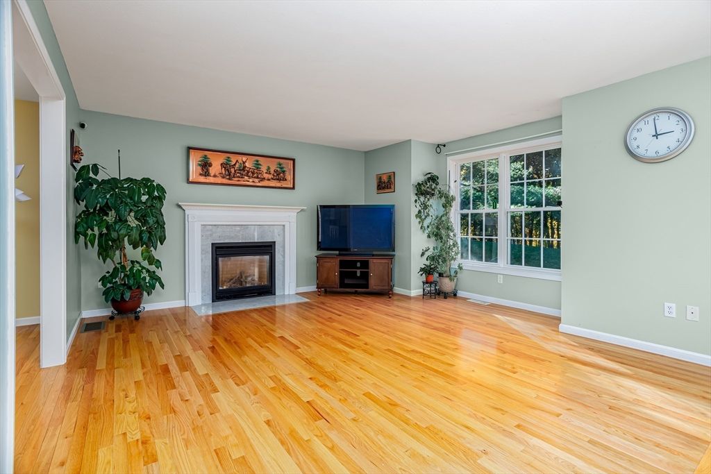 Fireplace, Interior, Wood Texture Flooring
