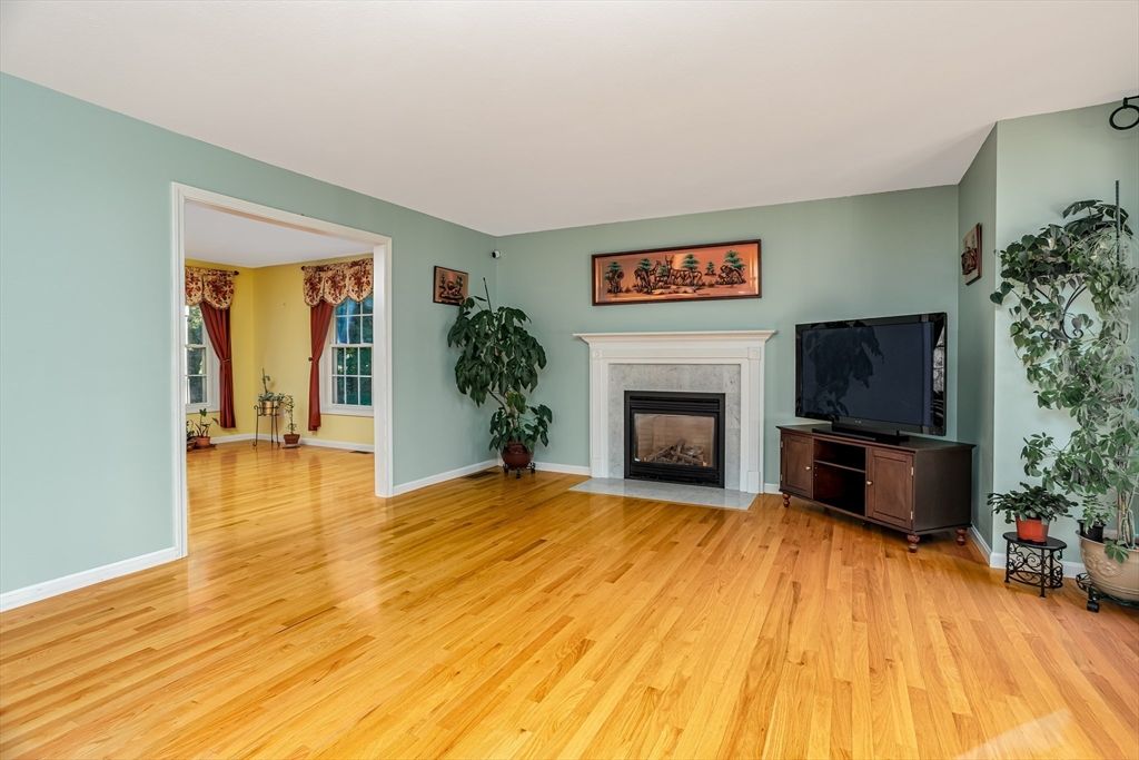 Fireplace, Interior, Wood Texture Flooring