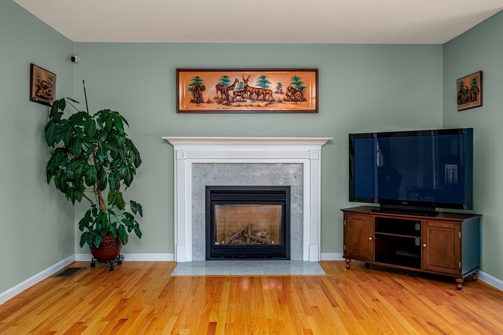 Fireplace, Interior, Wood Texture Flooring