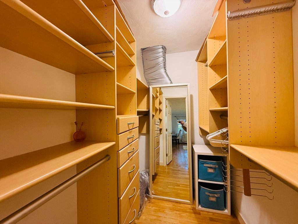 Interior, Walk-in Closets, Wood Texture Flooring