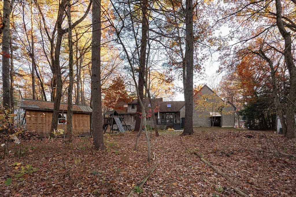 Backyard, Exterior, Playground