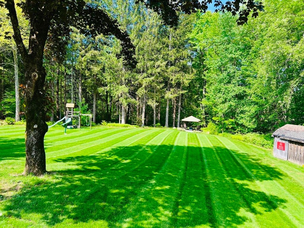 Backyard, Exterior, Playground