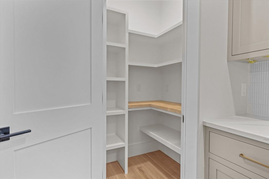 Interior, Walk-in Closets, Wood Texture Flooring