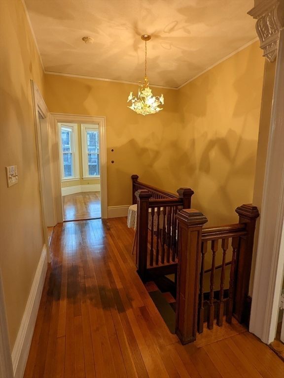 Chandelier, Interior, Wood Texture Flooring