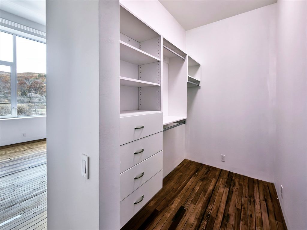 Interior, Walk-in Closets, Wood Texture Flooring