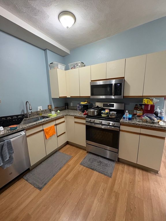 Interior, Kitchen, Stainless Steel Appliances, Wood Texture Flooring