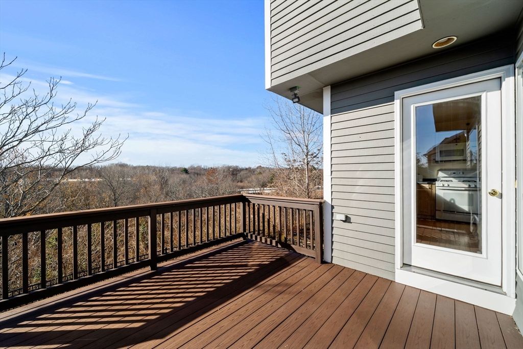 Exterior, Wood Texture Flooring