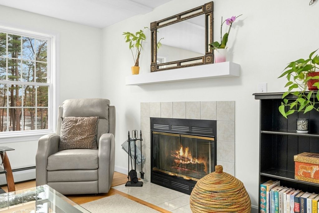 Fireplace, Interior, Wood Texture Flooring