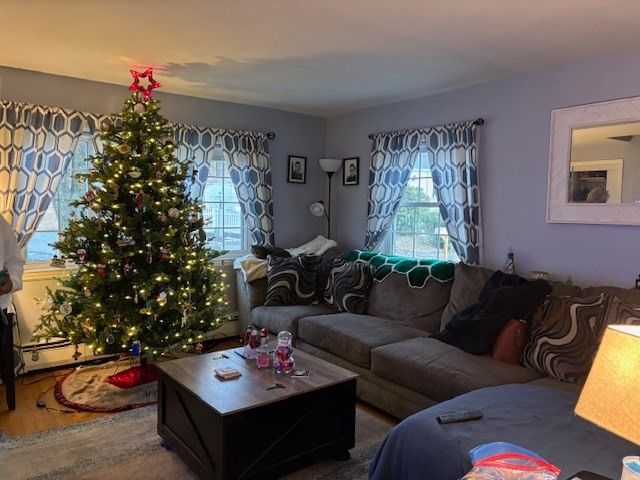 Interior, Living room, Wood Texture Flooring