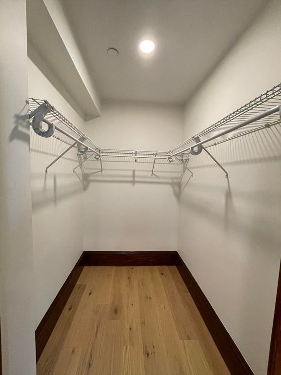 Interior, Recessed Lighting, Walk-in Closets, Wood Texture Flooring