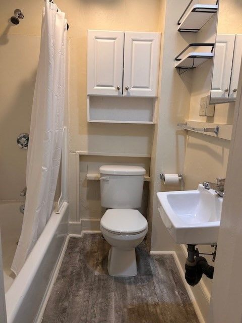 Bathroom, Interior, Wood Texture Flooring
