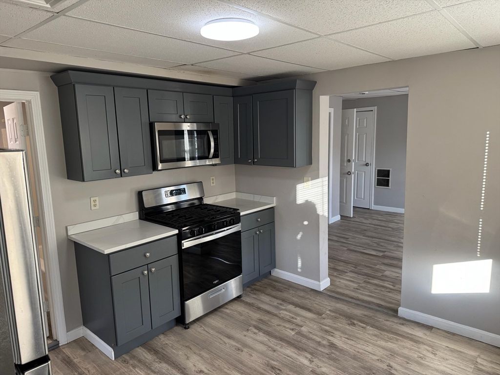 Interior, Kitchen, Stainless Steel Appliances, Wood Texture Flooring