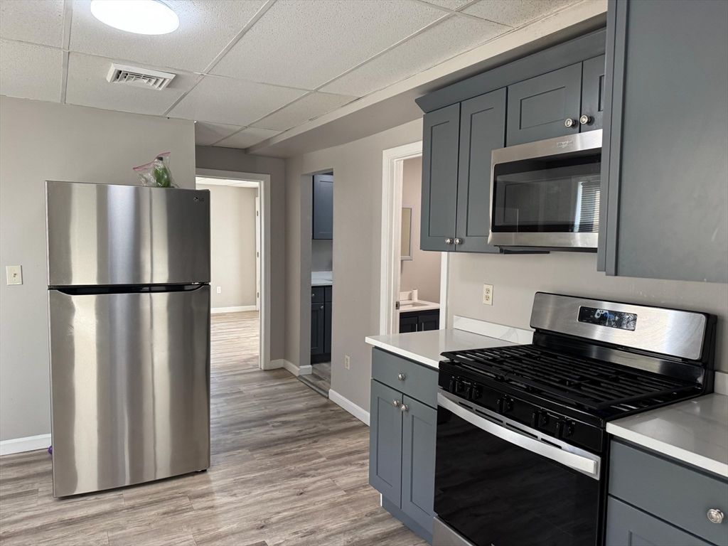 Interior, Kitchen, Stainless Steel Appliances, Wood Texture Flooring