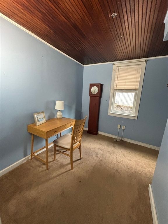 Home Office, Interior, Wooden Ceilings