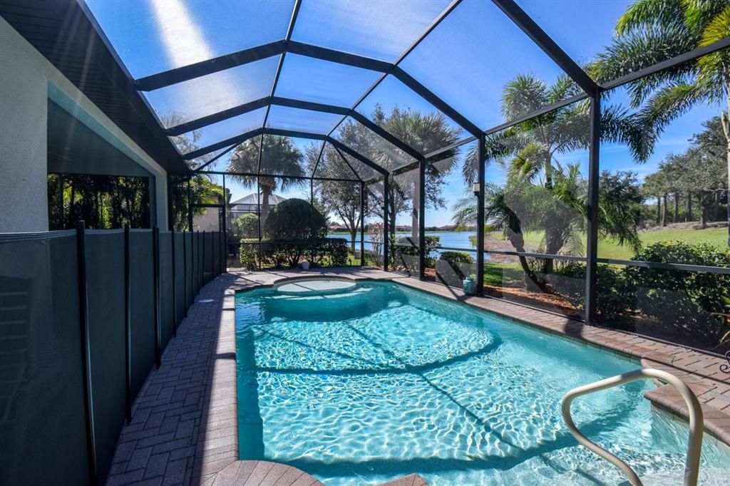 Glass Ceilings, Interior, Pool, Sun Room, Water