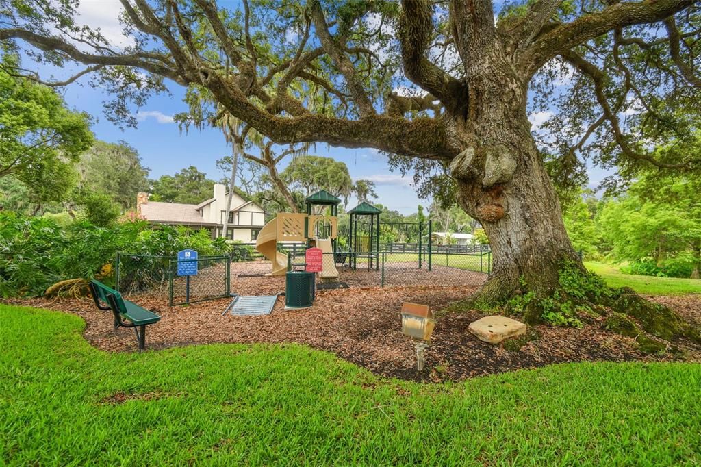 Backyard, Exterior, Playground