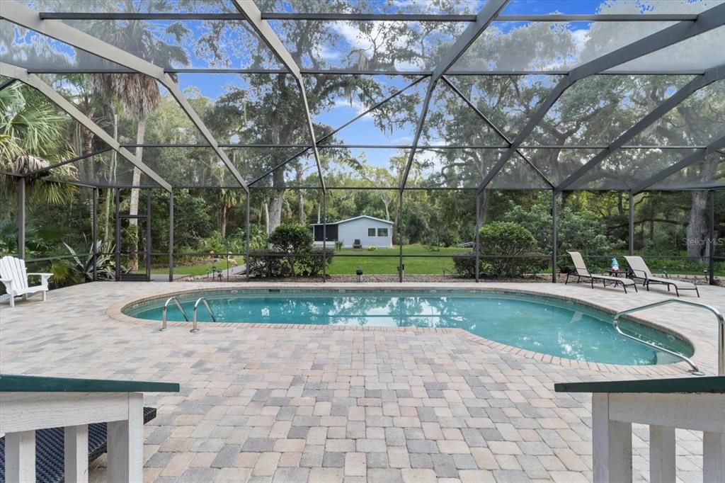 Glass Ceilings, Interior, Pool, Sun Room