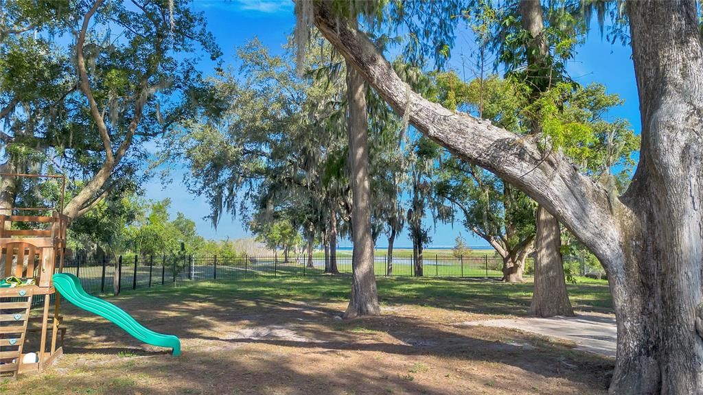 Backyard, Exterior, Playground