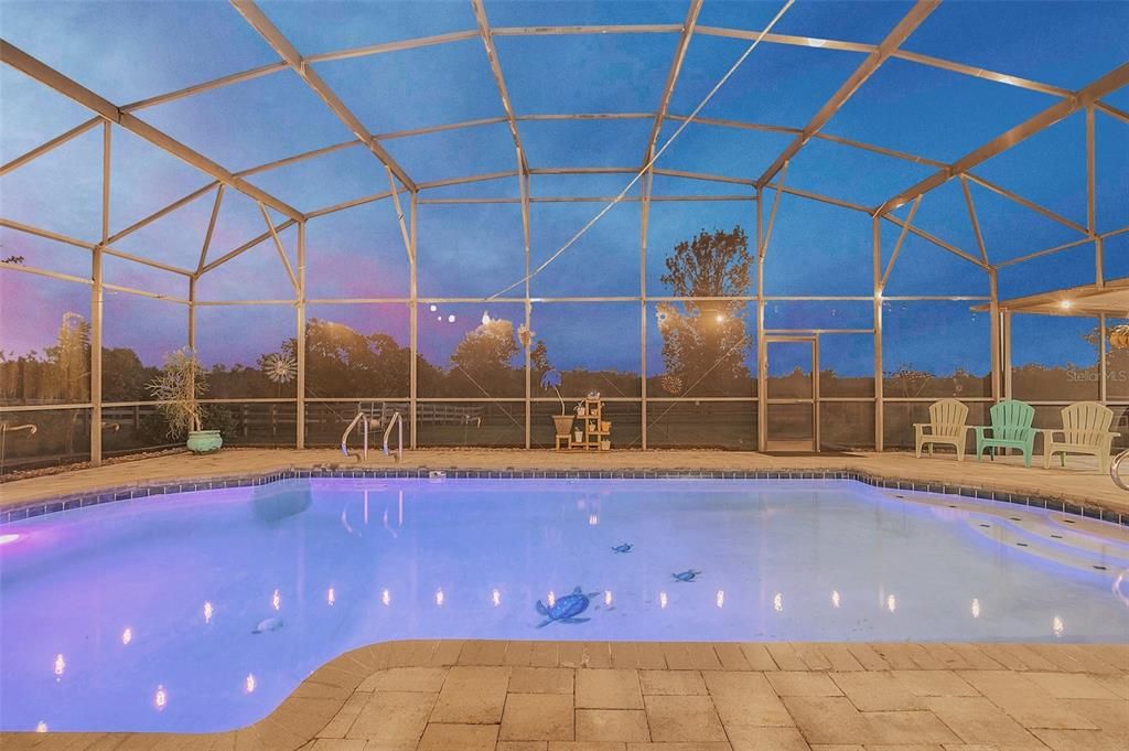 Glass Ceilings, Interior, Pool, Sun Room