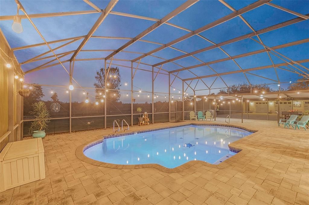 Glass Ceilings, Interior, Pool, Sun Room
