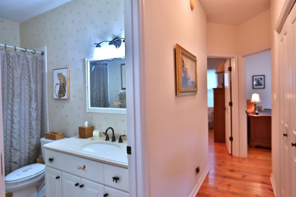 Bathroom, Interior, Wood Texture Flooring