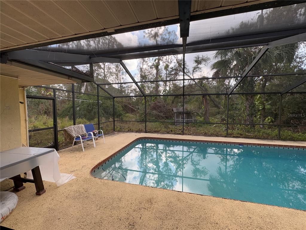 Glass Ceilings, Interior, Pool, Sun Room