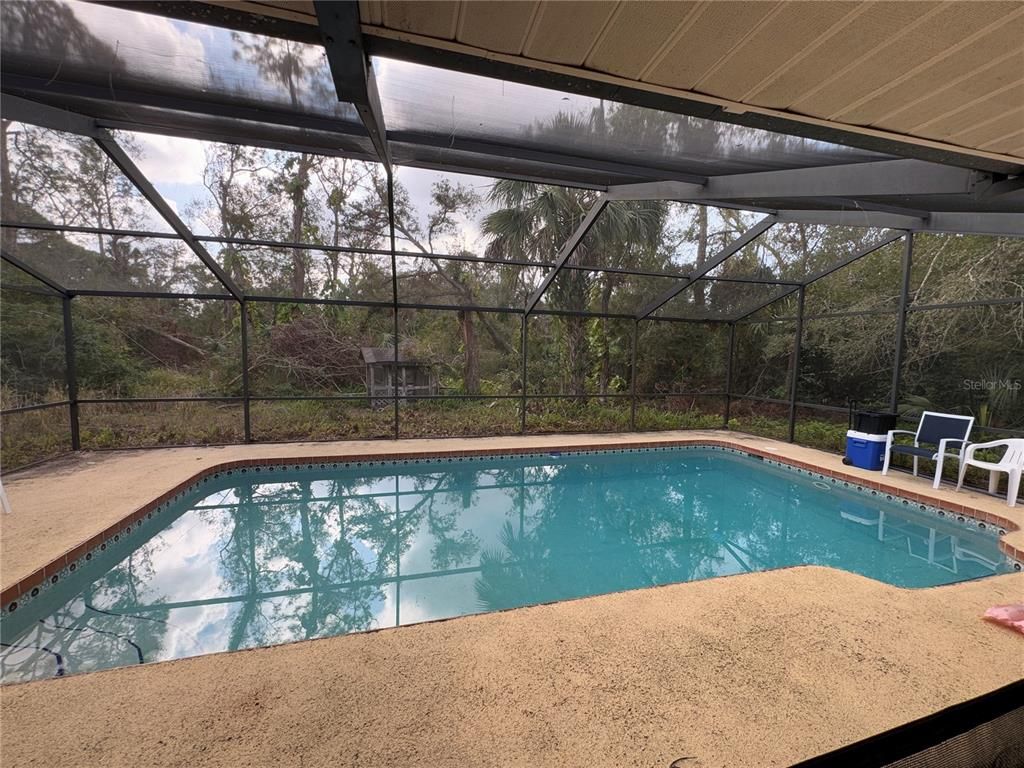 Glass Ceilings, Interior, Pool, Sun Room