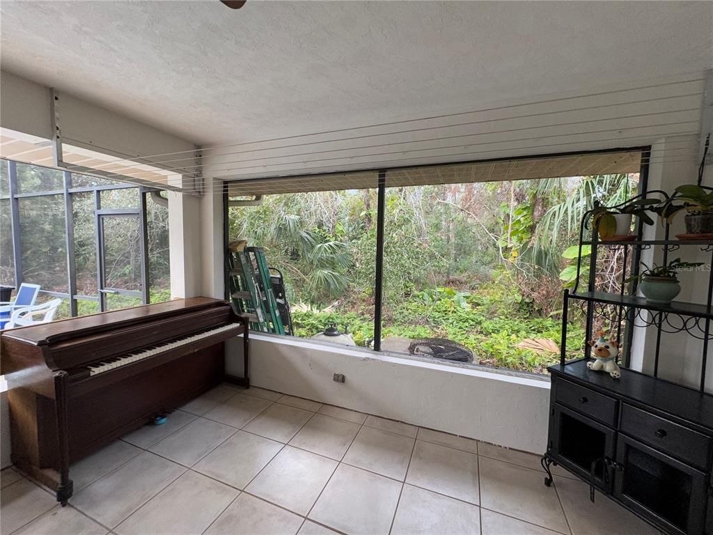 Interior, Piano, Sun Room
