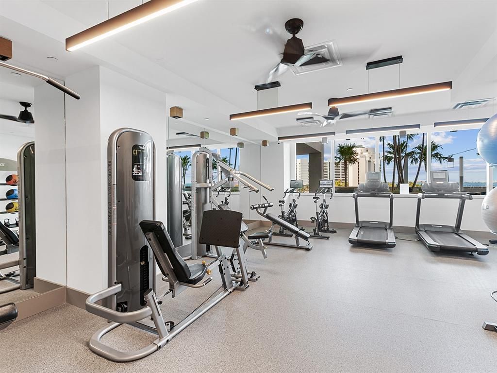 Fitness Equipment, Gym, Interior