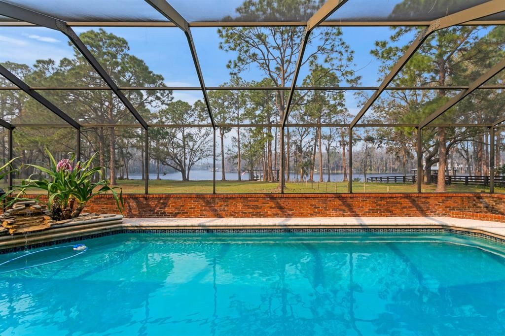Glass Ceilings, Interior, Pool, Sun Room