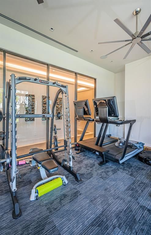 Fitness Equipment, Interior, Recessed Lighting