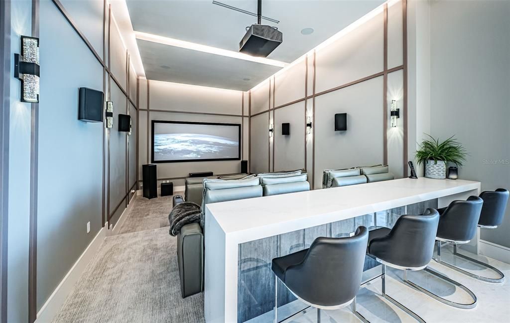Interior, Projection Screen, Theatre Room