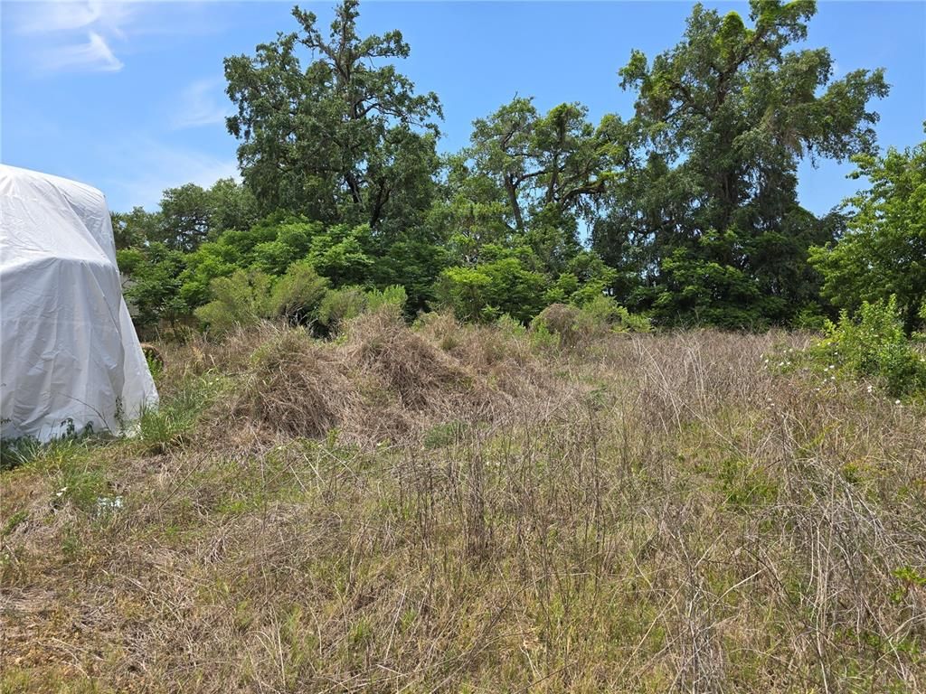 DE Listing image placeholder