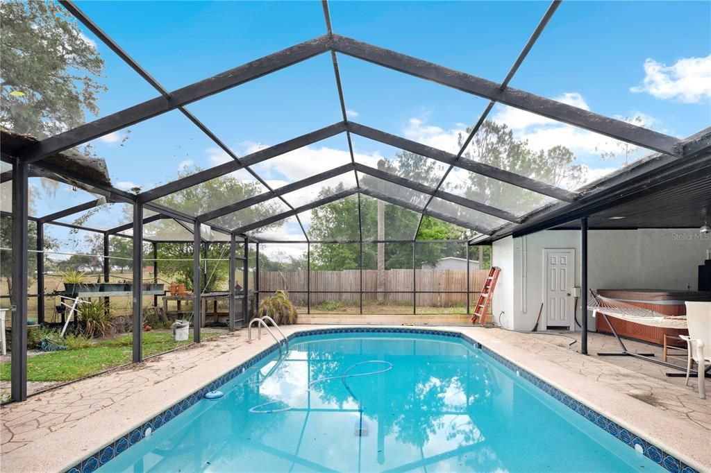 Glass Ceilings, Interior, Pool, Sun Room