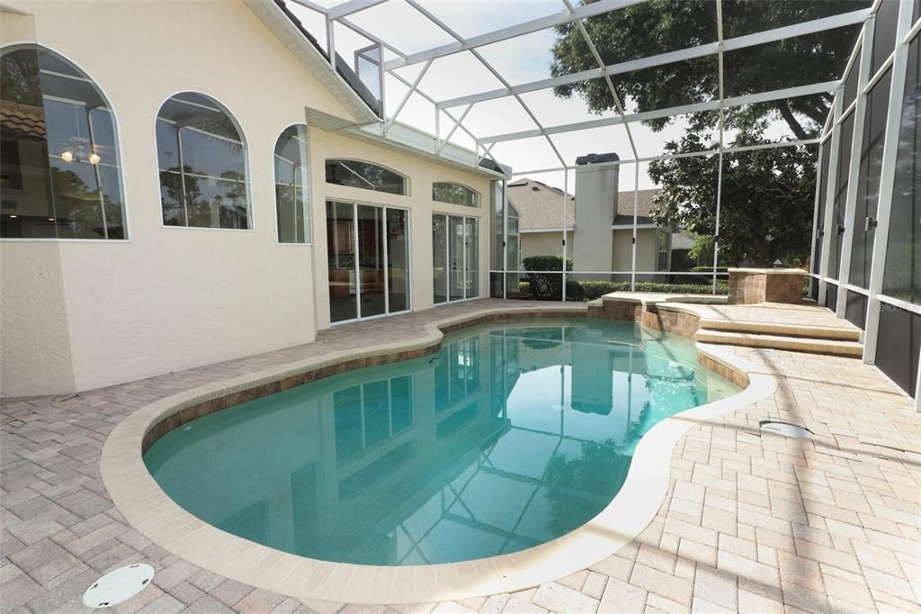 Glass Ceilings, Interior, Pool, Sun Room