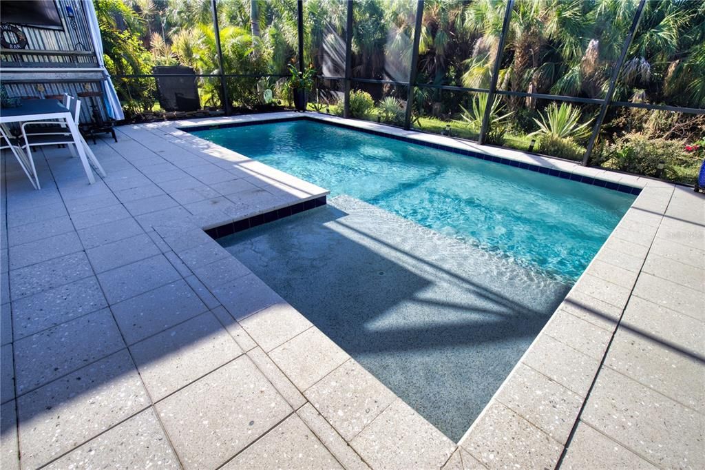 Interior, Pool, Sun Room
