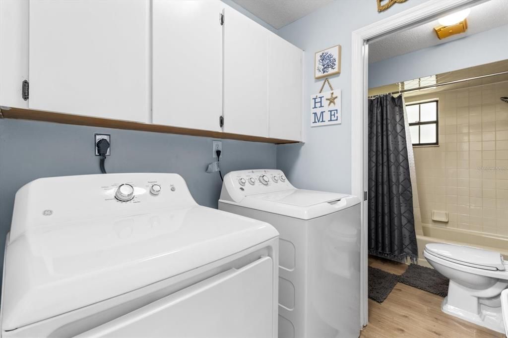 Bathroom, Interior, Washer, Wood Texture Flooring