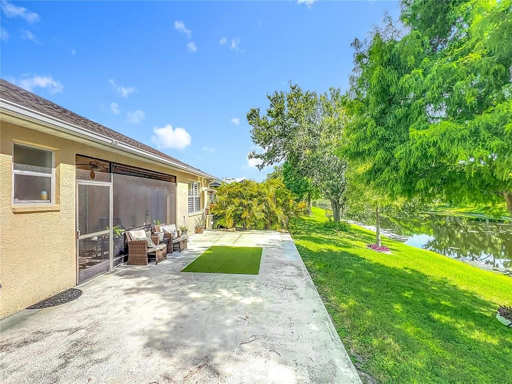 Backyard, Exterior, Water