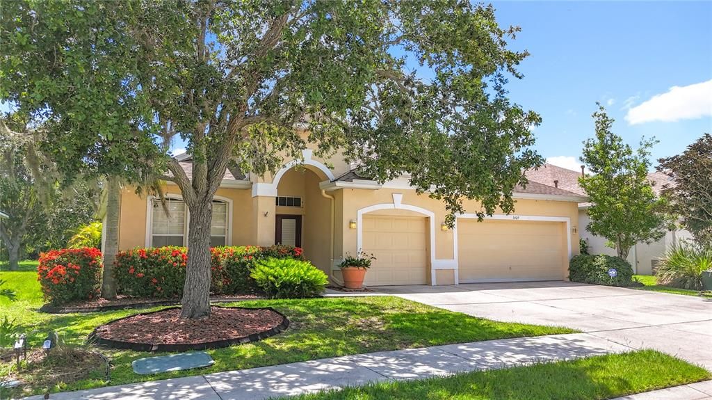 Attached, Backyard, Exterior, Facade, French Provincial