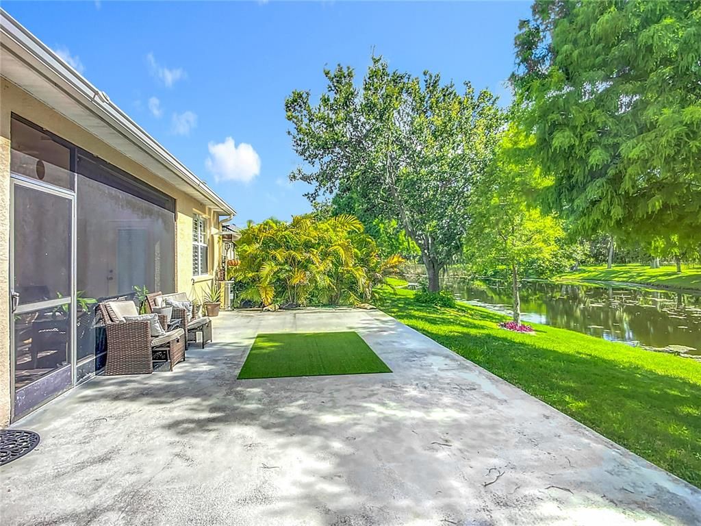 Backyard, Exterior, Water