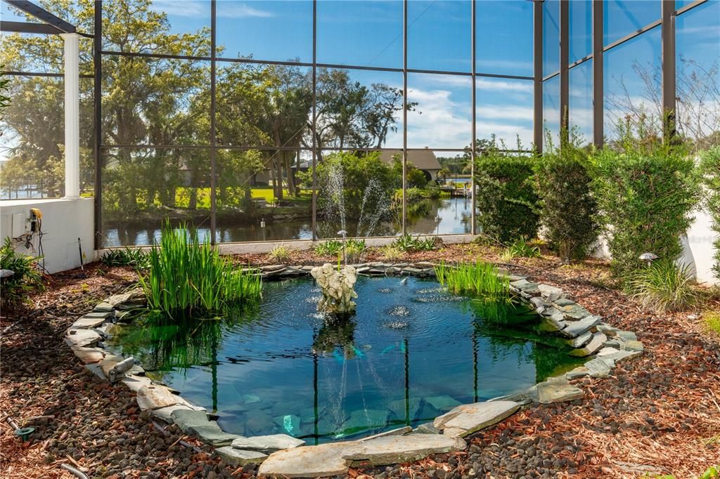 Interior, Pool, Sun Room, Water