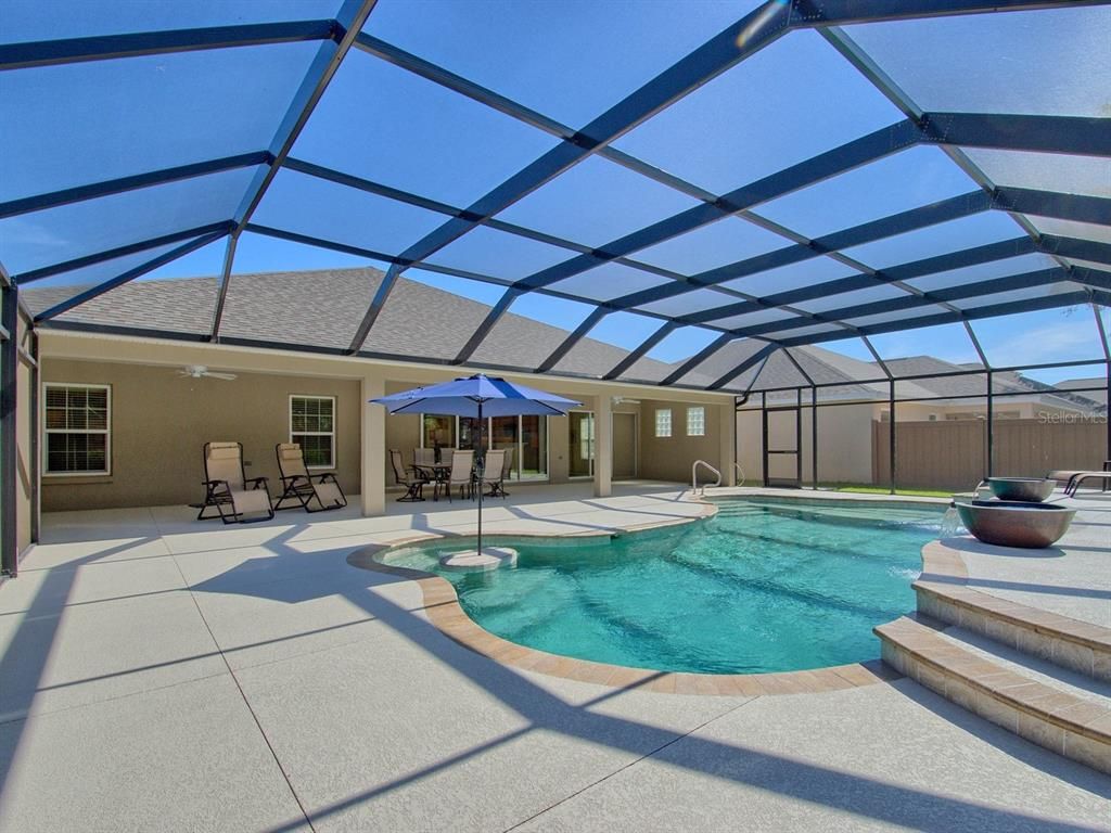 Glass Ceilings, Interior, Pool, Sun Room