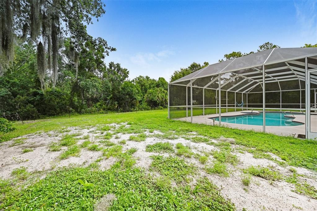 Backyard, Exterior, Pool