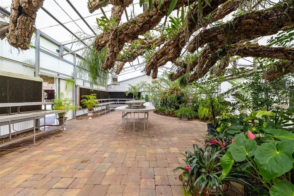 Glass Ceilings, Interior, Sun Room