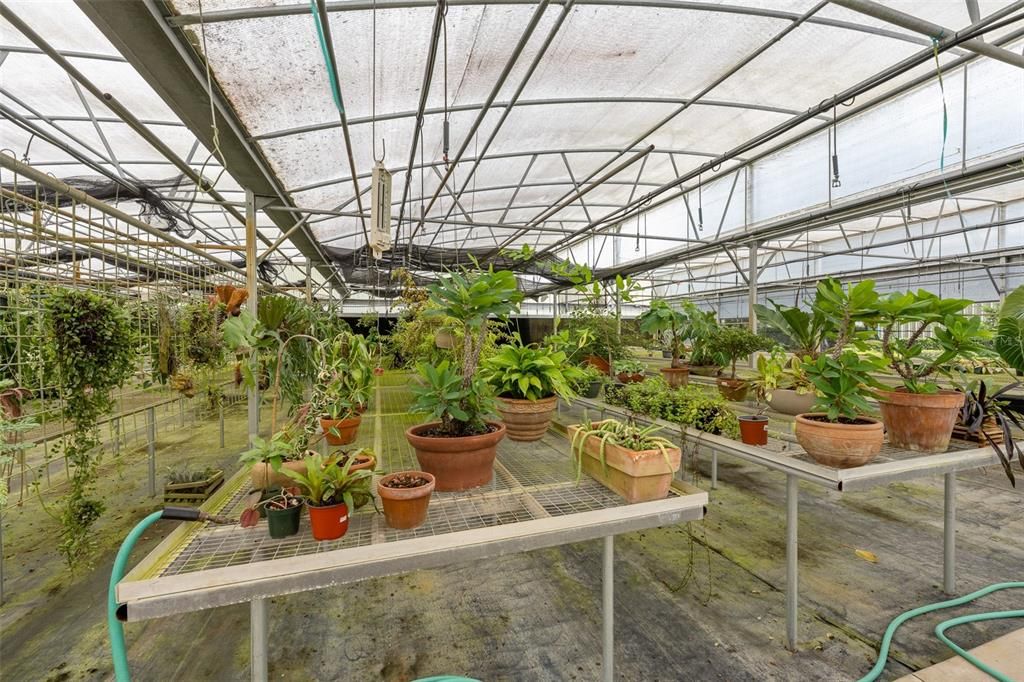 Glass Ceilings, Interior, Sun Room